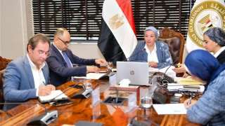 ياسمين فؤاد: اختيار 4 مشروعات...
