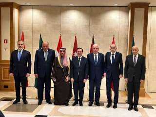 وزير الخارجية سامح شكري وأعضاء...
