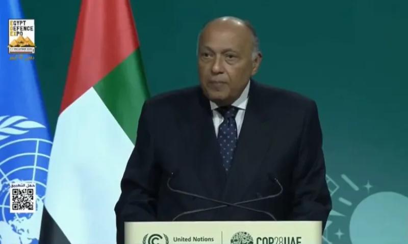 سامح شكري وزير الخارجية