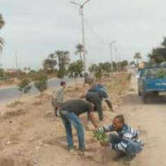 زراعة 312 شجرة مثمرة في...