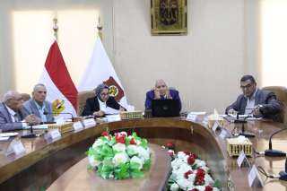 محافظ الوادي الجديد يتابع جاهزية...