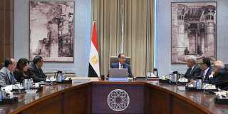 رئيس الوزراء يستعرض مشروعا لإنتاج...