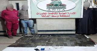 ضبط عدد من العناصر الإجرامية...