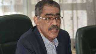 ضياء رشوان: مصر تعمل على...