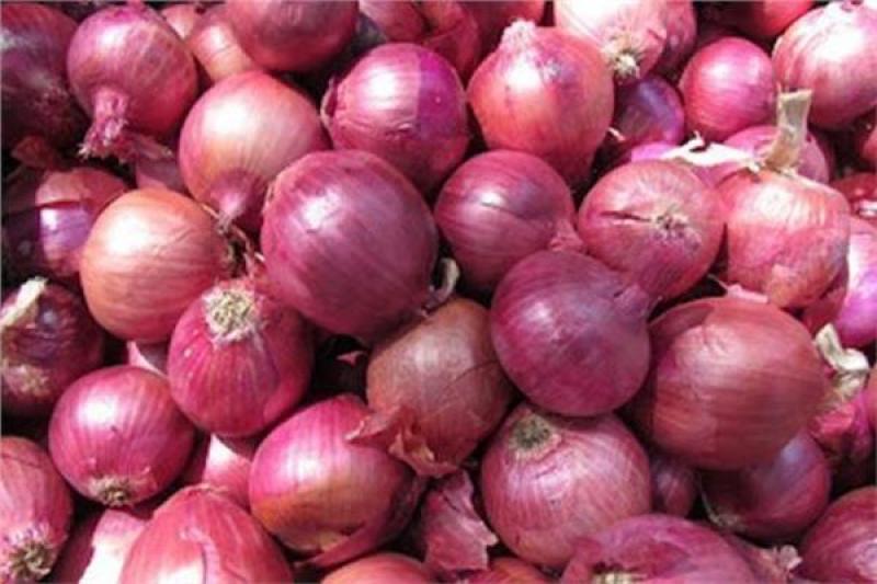 صورة موضوعية