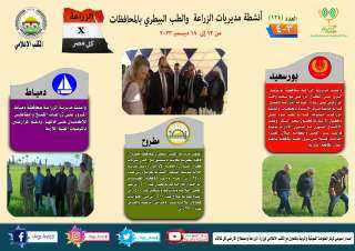 انفوجراف| ”الزراعة في كل مصر”...