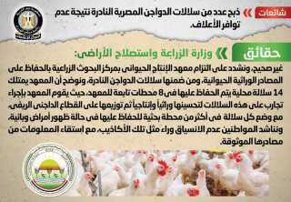 الحكومة تنفى ذبح عدد من...