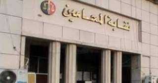 القضاء الإدارى يقضى بوقف الدعوى...