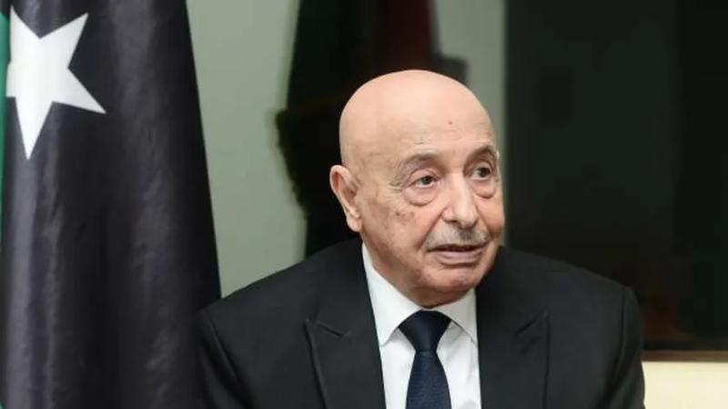 رئيس مجلس النواب الليبي عقيلة صالح