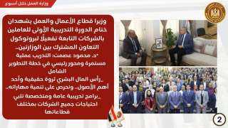 حصاد وزارة العمل في 7...