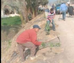 ضمن مبادرة 100 مليون شجرة...