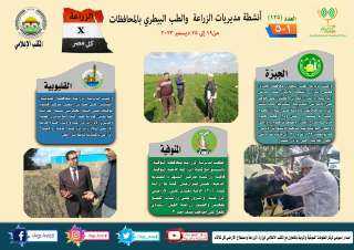 انفوجراف وفيديو| ”الزراعة في كل...