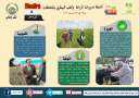 انفوجراف وفيديو| ”الزراعة في كل...