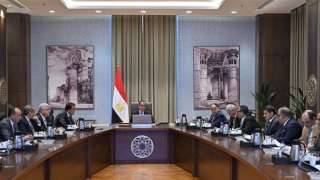 رئيس الوزراء يتابع جهود توفير...
