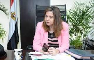 مى عبدالحميد: 15% من إجمالي...
