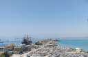 تداول  8 الاف طن...