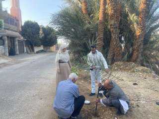 محافظ أسيوط: تنفيذ أعمال تشجير...