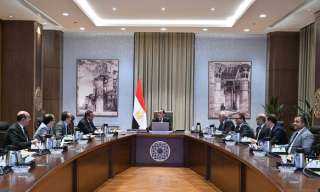 رئيس الوزراء يوجه ببدء إجراءات...