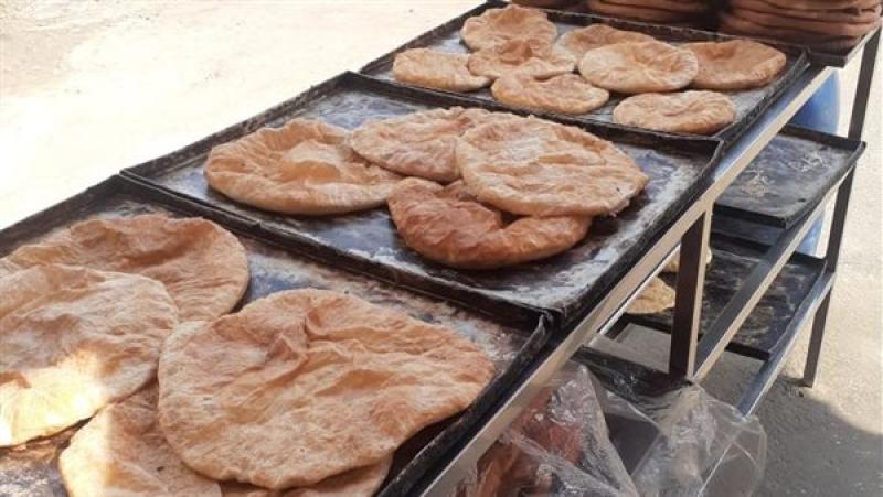 حملات بصحة الدقهلية