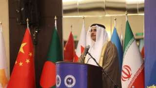 رئيس البرلمان العربي: القضية الفلسطينية...