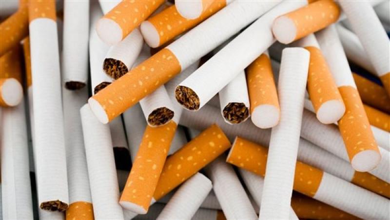 ضبط مخالفات الأسواق والمتاجر بالإسكندرية