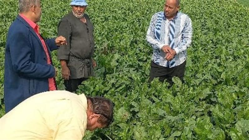 الزراعة