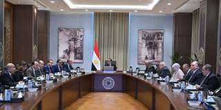 مدبولي يؤكد ضرورة الاستعانة بشركات...