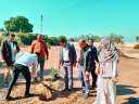 محافظ أسيوط: حملات تشجير مستمرة...
