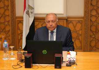 وزير الخارجية يؤكد دعم مصر...