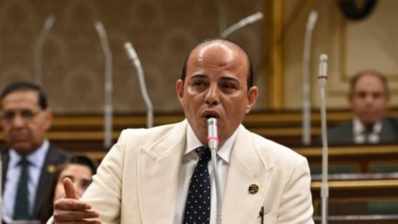 النائب عمرو القطامي