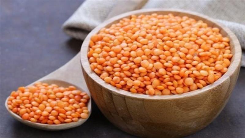 أسعار العدس اليوم