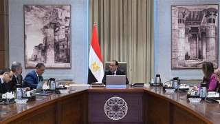 مدبولي يوجه بضرورة استمرار جهود...