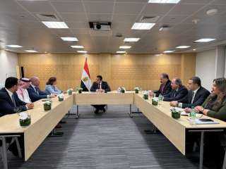 وزير الصحة يبحث مع «جونسون...