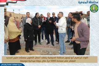 محافظ المنوفية يتفقد أعمال رصف...