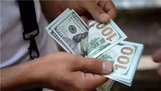 سعر الدولار اليوم الأربعاء 31-1-2024...