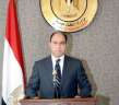 مصر تشارك فى اجتماعات اللجنة...