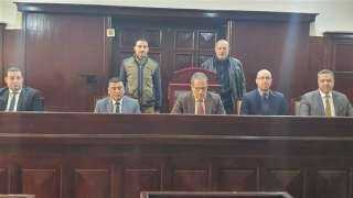 جنايات المنصورة تعاقب ربة منزل...