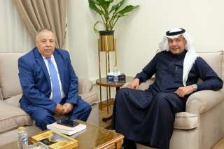 رئيس قطاع الشؤون السياسية الدولية...
