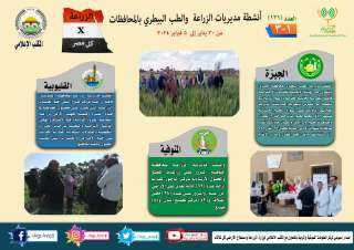انفوجراف | ”الزراعة في كل...