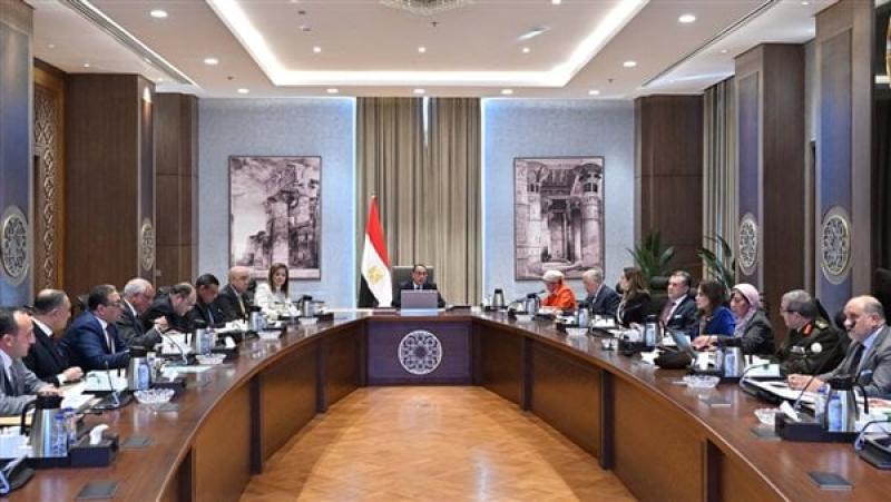 رئيس مجلس الوزراء خلال الاجتماع