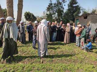 الزراعة : معهد أمراض النباتات...