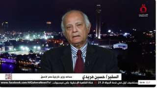 السفير حسين هريدي: حل الدولتين...