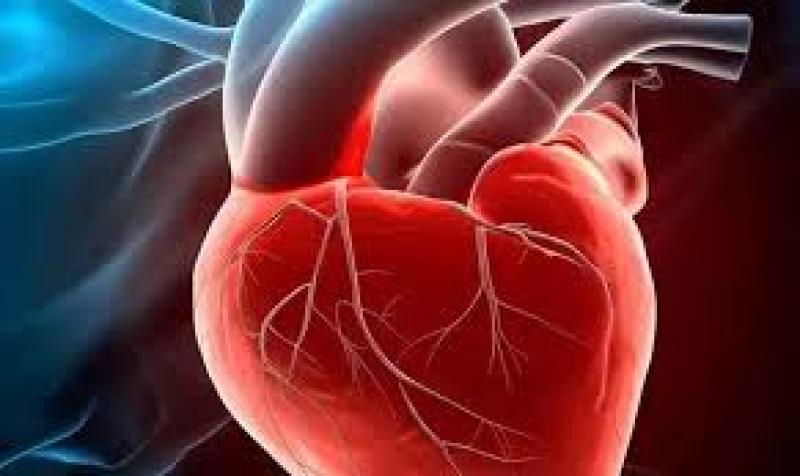 أسباب ضربات القلب السريعة بدون مجهود