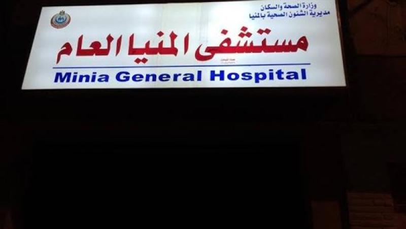 المنيا العام