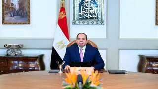 السيسي يؤكد لأردوغان تعزيز التشاور...