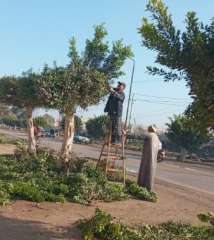 محافظ الغربية يتابع جهود الوحدات...