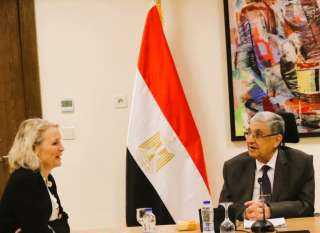 وزير الكهرباء يستقبل  مفوضة...