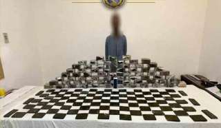 ضبط 480 طربة لمخدر الحشيش...