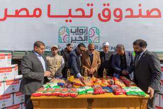 صندوق تحيا مصر يوفر 413...