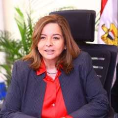 الرئيس التنفيذي لصندوق الإسكان الاجتماعي...